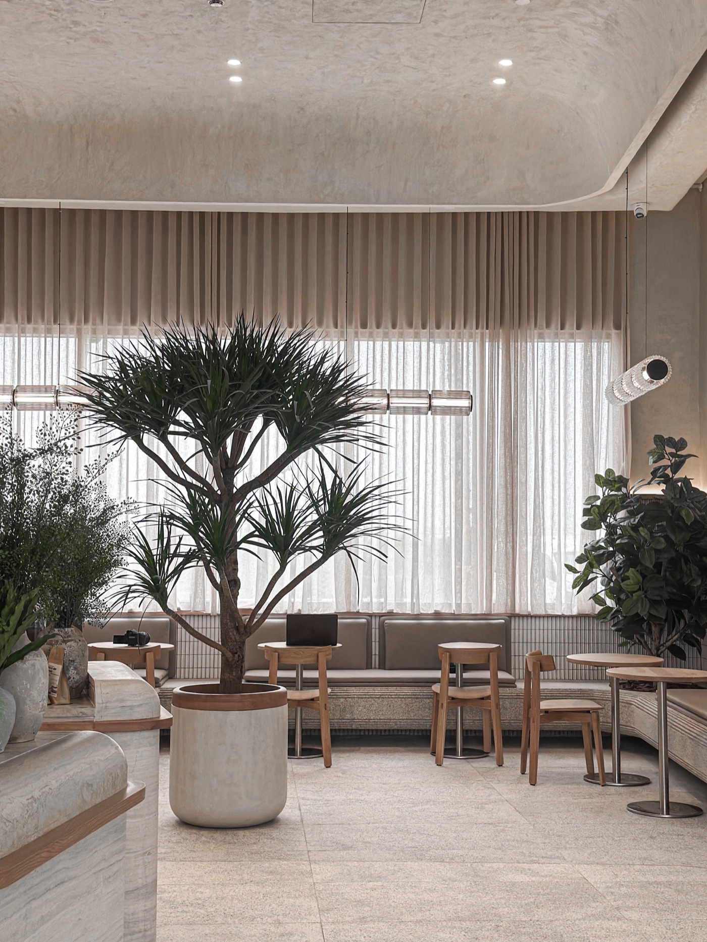 A calm PICK seating area arranged around a large indoor tree